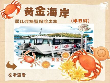 （中文团）黃金海岸 翠儿河捕蟹探险之旅 Catch a Crab