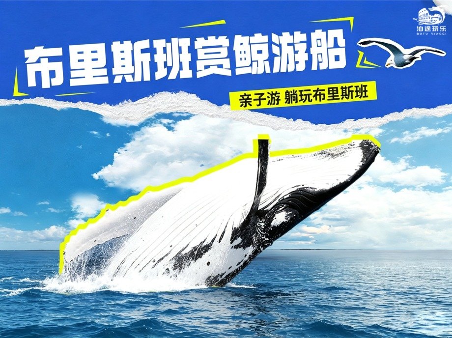 Progetto definitivo-1 布里斯班赏鲸游船【季节限定:2026年6月6日至10月25日】 Brisbane Whale Watching - immagine 1