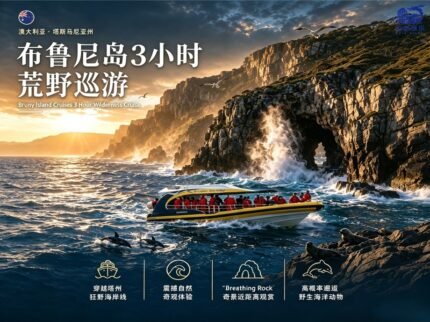 澳大利亚-塔斯马尼亚州：布鲁尼岛3小时巡游/霍巴特(41983605)