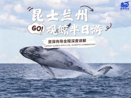 澳大利亚-邦德堡出发：观鲸半日游(41554984)